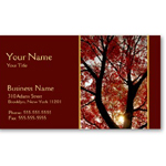 Personalized business card at Omniverz.com